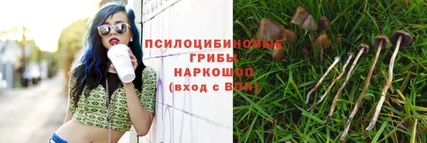 дурь Медвежьегорск
